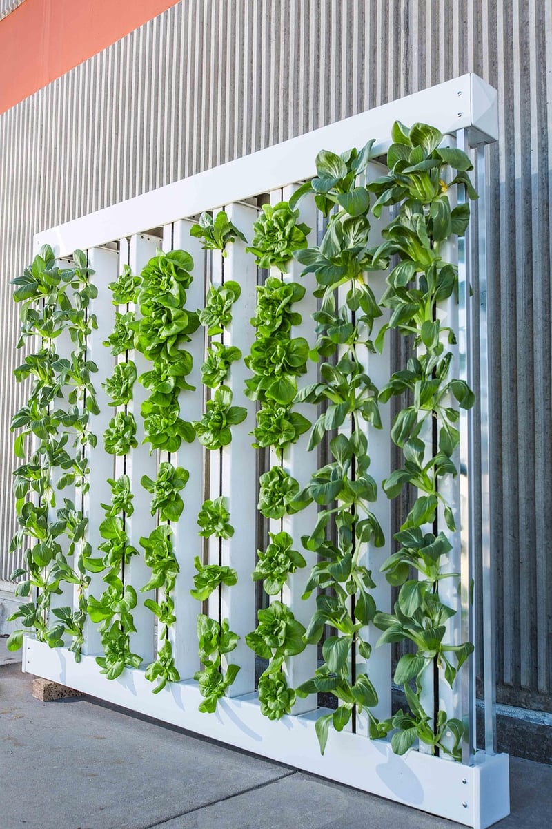 Vertical Garden Designs